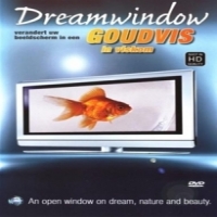Documentary Goudvis: Dreamwindow
