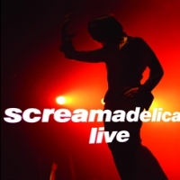 Primal Scream Screamadelica Live