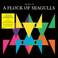 A Flock Of Seagulls The Best Of