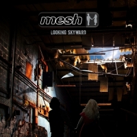 Mesh Looking Skyward (red)