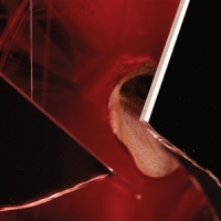 Smith, Parrish Light, Cruel & Vain