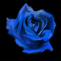 Current Joys Rosebud
