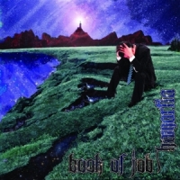 Book Of Job Hamartia