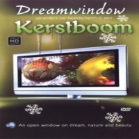 Documentary Kerstboom: Dreamwindow