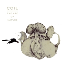 Coil Ape Of Naples -coloured-