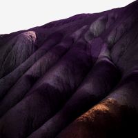 Whispering Sons Several Others