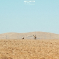 Jaguar Sun For You -coloured-