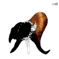 Coil Black Antlers
