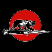 Jim Jones All Stars Cat Fight -coloured-