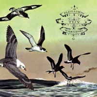 Flotation Toy Warning Bluffer's Guide To The Flight Deck