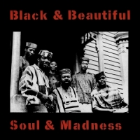 Baraka, Amiri Black And Beautiful Soul And Madness