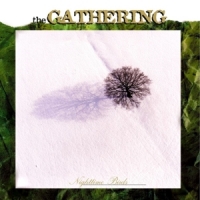 Gathering, The Nighttime Birds
