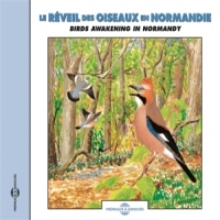 Sons De La Nature Le Reveil Des Oiseaux En Normandie