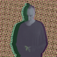 Fink Beauty In Your Wake Acoustic