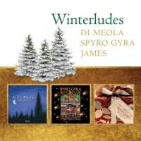Di Meola, Al Winterludes