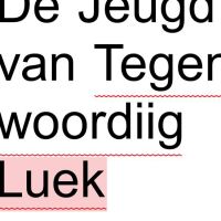 De Jeugd Van Tegenwoordig Luek