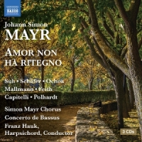 Schafer, Markus Mayr: Amor Non Ha Ritegno
