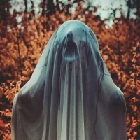 Noctambulist Noctambulist I- Elegieen (green Tra