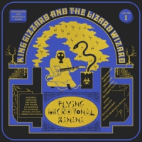 King Gizzard & The Lizard Wizard Flying Microtonal Banana