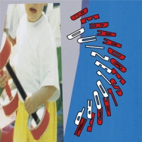 Beraadgeslagen Duizeldorp