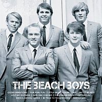 Beach Boys Icon  The Beach Boys