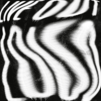 Mike Rogers Live Out Loud