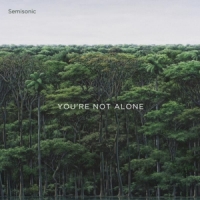 Semisonic You're Not Alone