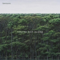 Semisonic You're Not Alone