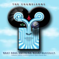 Chameleons What Does Anything Mean