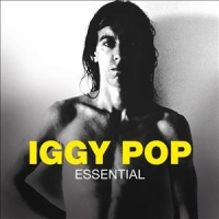 Iggy Pop Essential