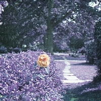 Hour Subminiature
