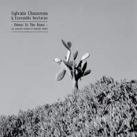 Sylvain Chauveau & Ensemble Nocturn Down To The Bone