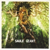 Saule Geant
