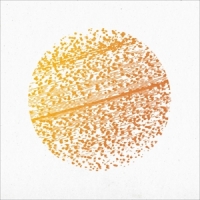 Gathering Beautiful Distortion -green+orange-