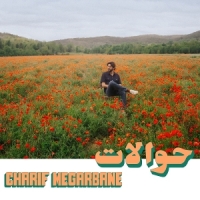 Charif Megarbane Hawalat