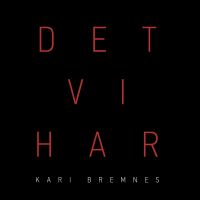 Bremnes, Kari Det Vi Har -lp+cd-