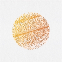 Gathering Beautiful Distortion