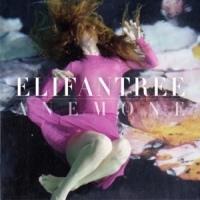 Elifantree Anemone