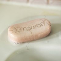 Dry Cleaning Stumpwork -indie Only-