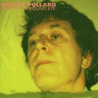 Pollard, Robert From A Compound Eye