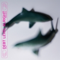 Kevin Heartbeats Debt Level Alright