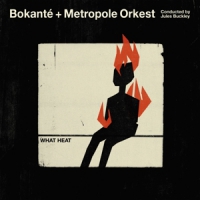 Bokante & Metropole Orkest What Heat