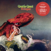 Gentle Giant Octopus