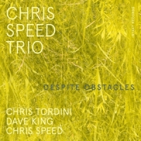 Speed, Chris -trio- Despite Obstacles
