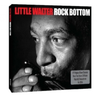 Little Walter W. Baby Face Leroy, Muddy Waters, J. Rock Bottom