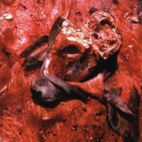 Cattle Decapitation Human Jerky