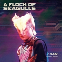 A Flock Of Seagulls I Ran: The Best Of