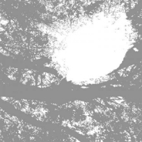 Comets On Fire Field Recordings From The