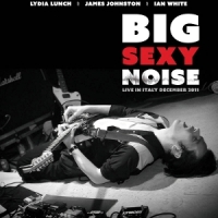 Big Sexy Noise Live In Italy