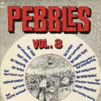 Various Pebbles 8
